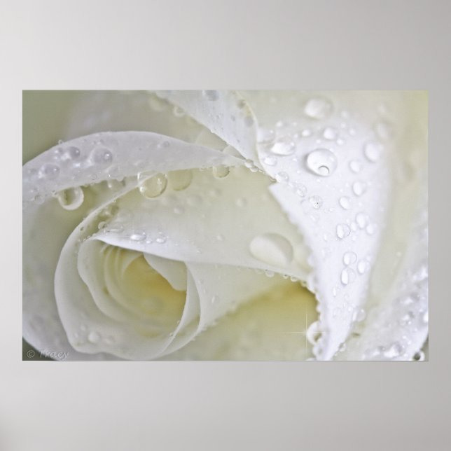 Póster Lluvia de cristal (Frente)