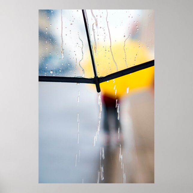 Póster Lluvia de paraguas durante el día (Frente)