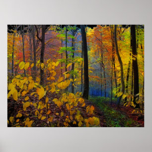 Póster Lluvia del otoño, poster