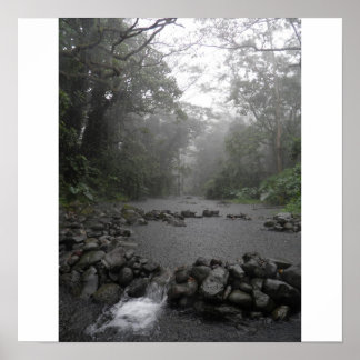 Póster Lluvia en Hawái