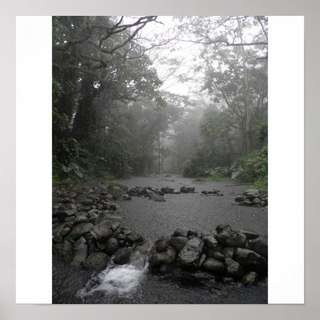 Póster Lluvia en Hawái (Frente)