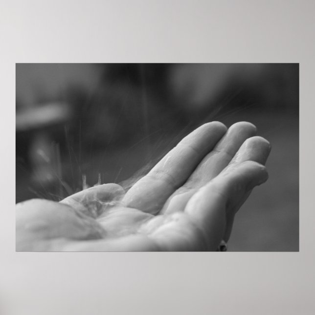 Póster Lluvia en la captura (Frente)