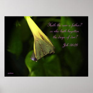 Póster Lluvia en la correhuela - poster