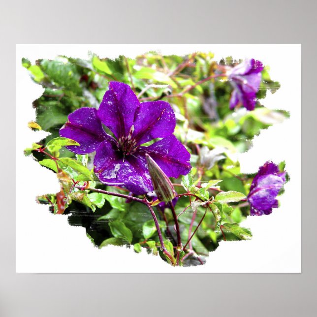 Póster Lluvia púrpura (Frente)