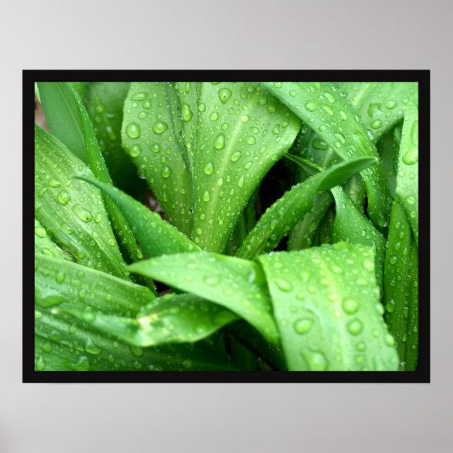 Póster Lluvias (Frente)