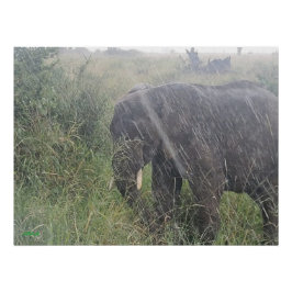 Póster Lluvias caídas en África