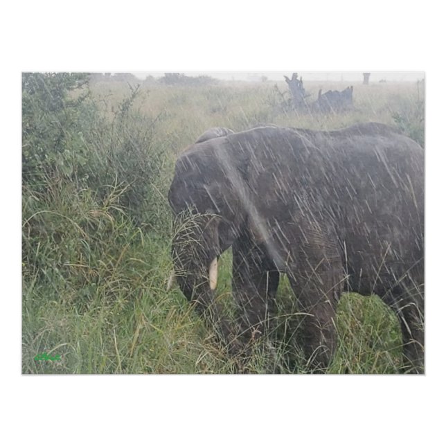 Póster Lluvias caídas en África (Anverso)