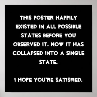 Póster ¡Lo colapsaste! Humor de física cuántica