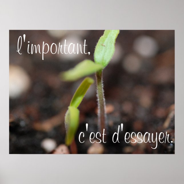 Póster Lo importante es probar el Poster motivacional (Frente)