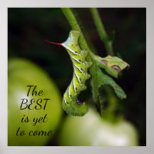 Lo mejor es que aún no ha llegado el Poster Caterp