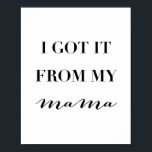 Póster Lo Obtuve De Mi Mamá<br><div class="desc">Lo Obtuve De Mi Mamá</div>