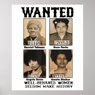 Póster Lo que aprendemos de la historia negra