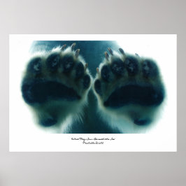 Póster Lo que vieron debajo del hielo