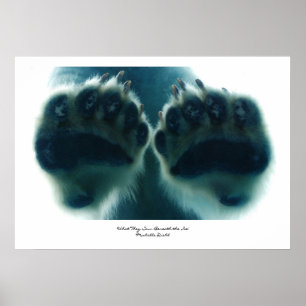 Póster Lo que vieron debajo del hielo