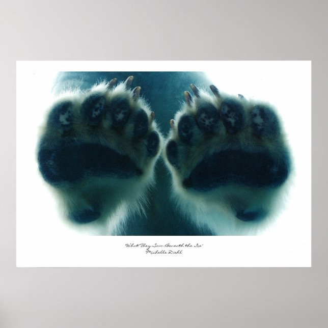 Póster Lo que vieron debajo del hielo (Frente)