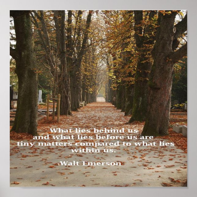 Póster "Lo que yace dentro de nosotros" (Frente)