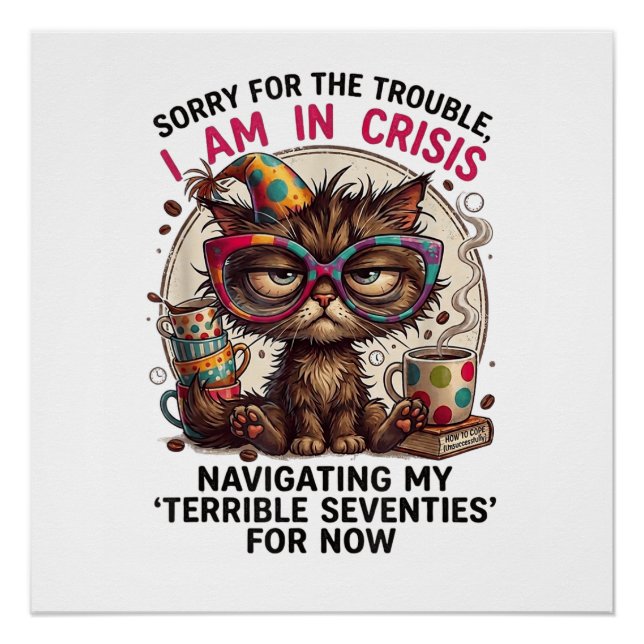 Póster Lo siento, estoy en crisis divertido cumpleaños 70 (Anverso)