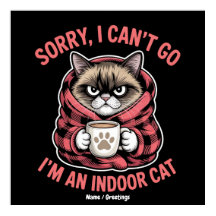 Lo siento, no puedo ir, soy un gato de interior, d