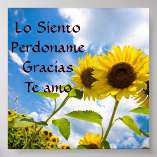 Póster Lo siento, Perdoname, Gracias, Te Amo