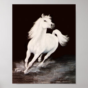 Póster Lo soñaba blanco