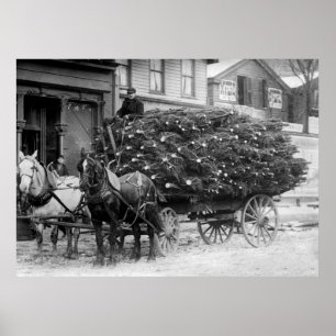 Póster Load of Xmas Trees, 1910