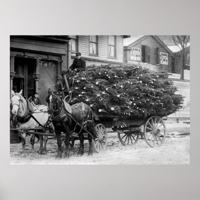 Póster Load of Xmas Trees, 1910 (Frente)
