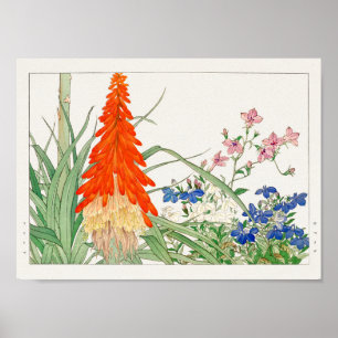 Póster Lobelia de Tanigami Konan