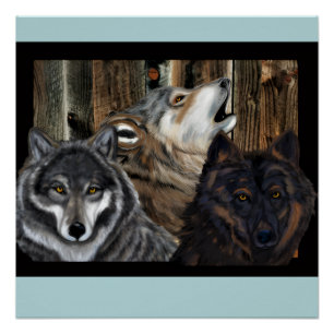 PÓSTER LOBO