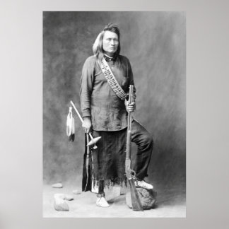 Póster Lobo amarillo