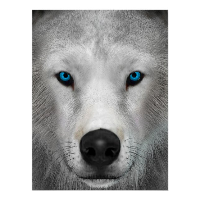 Póster Lobo Ártico (Anverso)