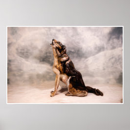 Póster Lobo Bodypainting ilusión