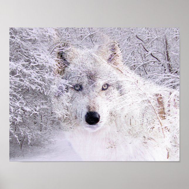 Póster Lobo de invierno (Frente)