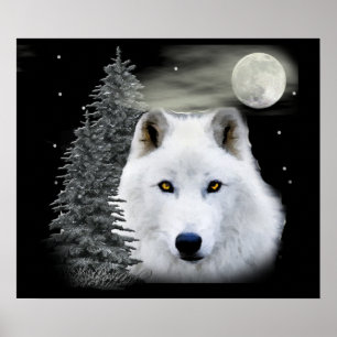 Póster lobo de nieve ártico
