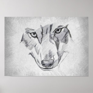 Póster Lobo - Dibujo Gráfico