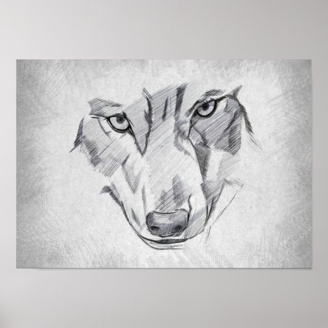 Póster Lobo - Dibujo Gráfico (Frente)