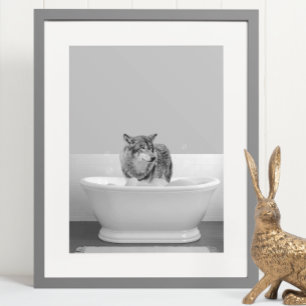 Póster Lobo en bañera Baño de burbujas