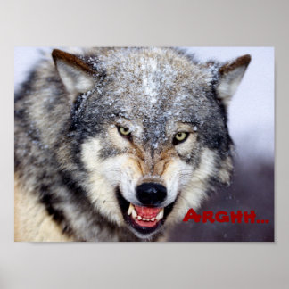 Póster lobo enojado