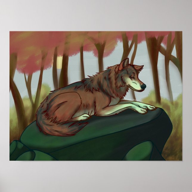 Póster Lobo europeo (Frente)