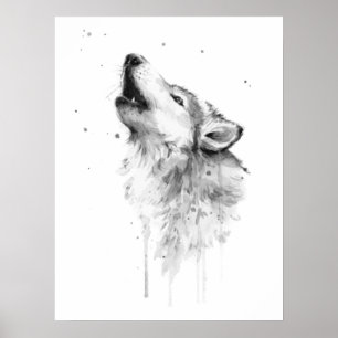 Póster Lobo gris en estilo de pintura acuarela