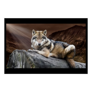 Póster Lobo Mirando