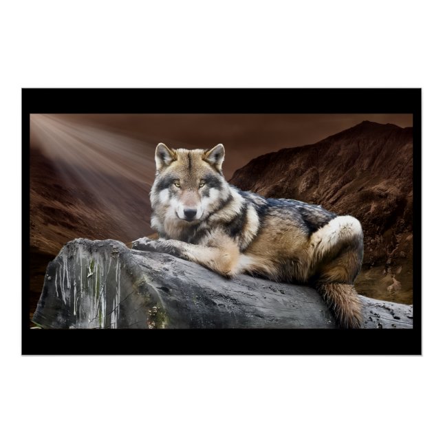 Póster Lobo Mirando (Anverso)
