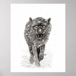 Póster Lobo negro enojado en la nieve, invierno salvaje