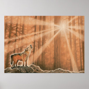 Póster Lobo solitario
