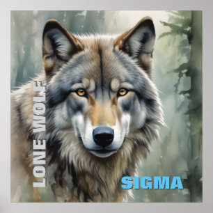 Póster Lobo solitario masculino Sigma