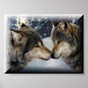 Póster Lobos