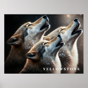Póster Lobos de Yellowstone