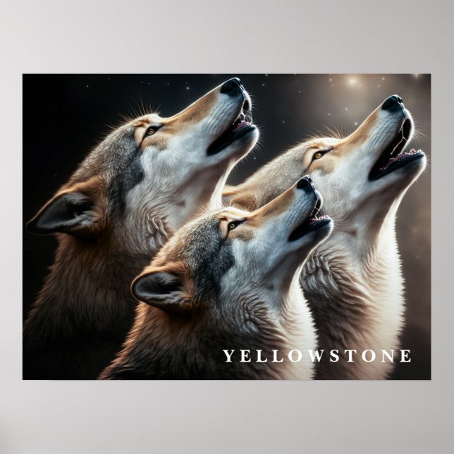 Póster Lobos de Yellowstone (Frente)
