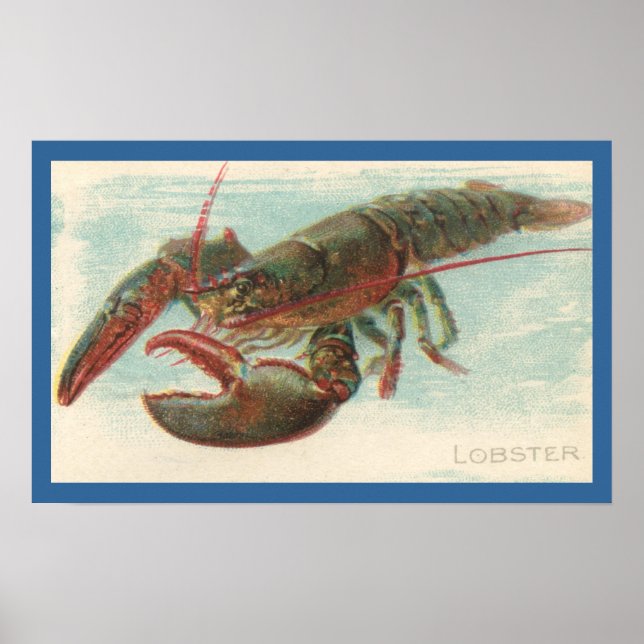 Póster Lobster (Frente)