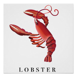 Póster Lobster