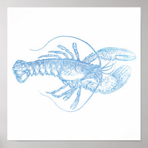 Póster Lobster azul